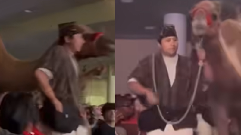 فيديو صادم يظهر جملا يركل امرأة في وجهها ويفقدها وعيها خلال احتفال بعيد الميلاد (فيديو)