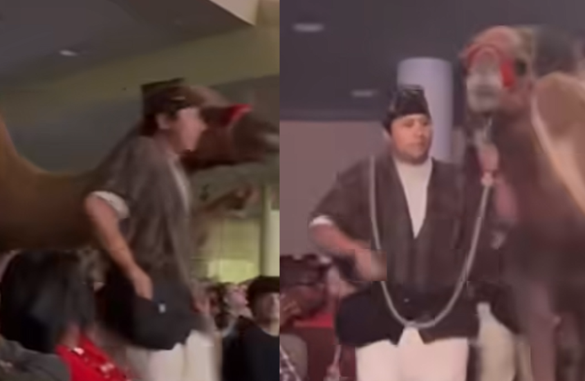 فيديو صادم يظهر جملا يركل امرأة في وجهها ويفقدها وعيها خلال احتفال بعيد الميلاد (فيديو)