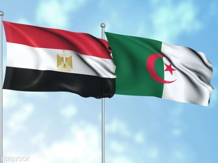 مصر والجزائر تعلنان رفضهما أي تدخلات خارجية في الدول الإفريقية