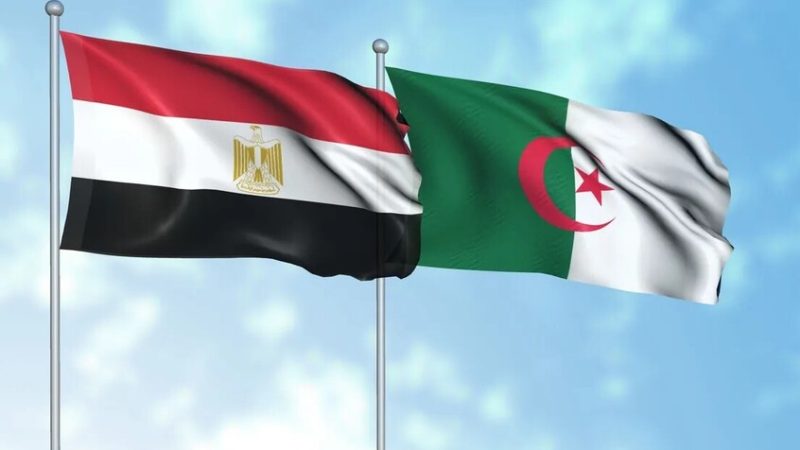 مصر والجزائر تعلنان رفضهما أي تدخلات خارجية في الدول الإفريقية