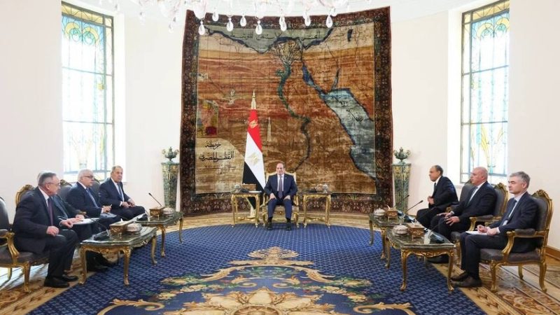 الرئاسة المصرية تكشف تفاصيل لقاء السيسي ولافروف