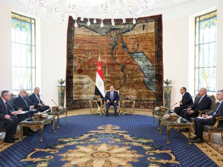 الرئاسة المصرية تكشف تفاصيل لقاء السيسي ولافروف