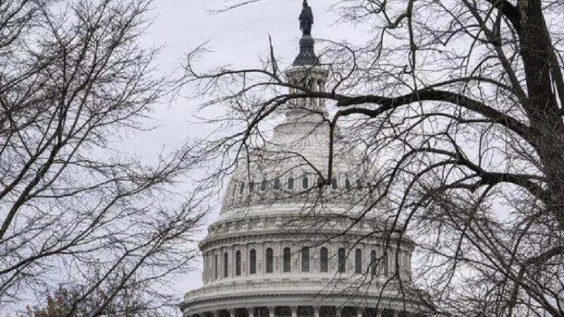 نائبة أمريكية تتهم زملاءها بالانتفاع من استمرار النزاع في أوكرانيا