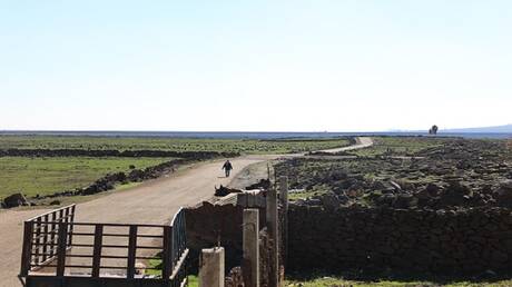 إعادة إسرائيليين دخلوا الأراضي السورية بدوافع استيطانية (فيديو)