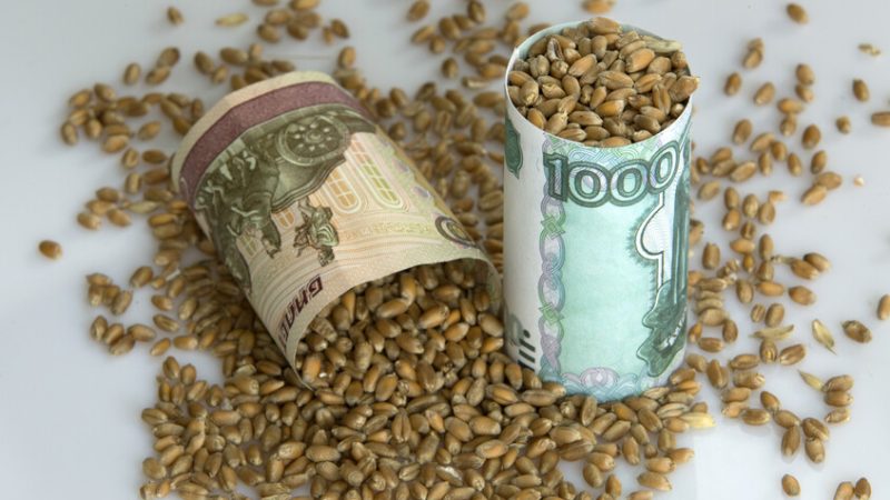 كم ستبلغ صادرات روسيا من الحبوب في 2025؟