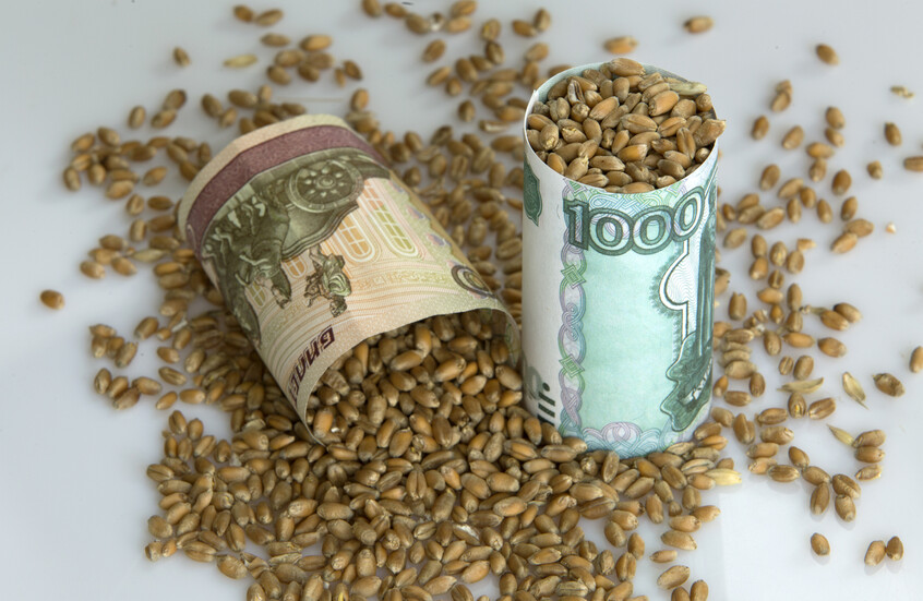 كم ستبلغ صادرات روسيا من الحبوب في 2025؟