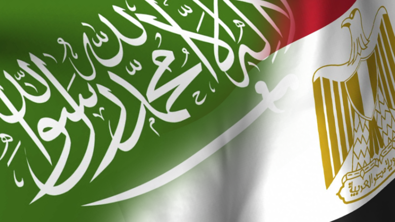مباحثات مصرية سعودية استعدادا لاجتماع هام بين البلدين
