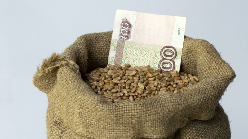 روسيا تحطم رقما قياسيا بصادرات الحنطة السوداء