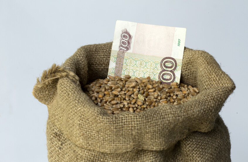 روسيا تحطم رقما قياسيا بصادرات الحنطة السوداء