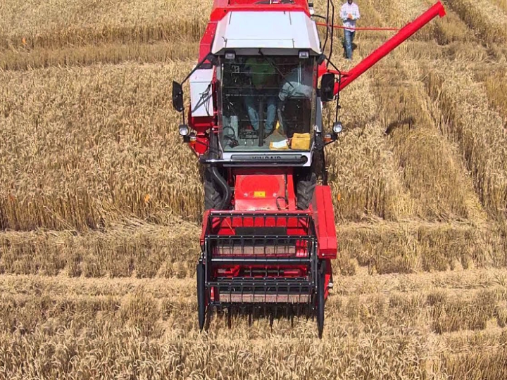 إيطاليا ترغب في زراعة القمح بمصر