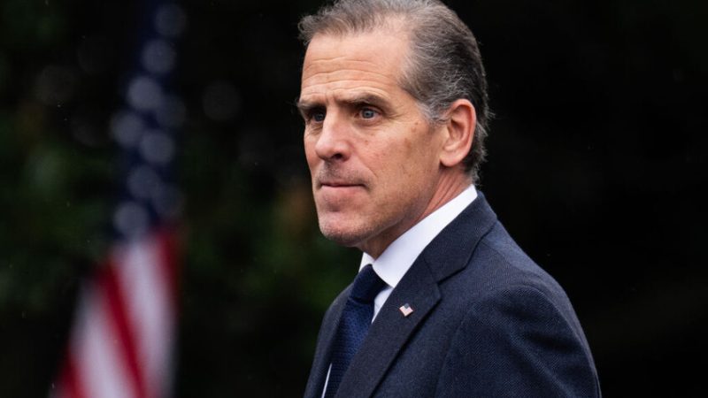 هانتر بايدن يشير إلى دولة بـ”وكر الأفاعي” (فيديو)