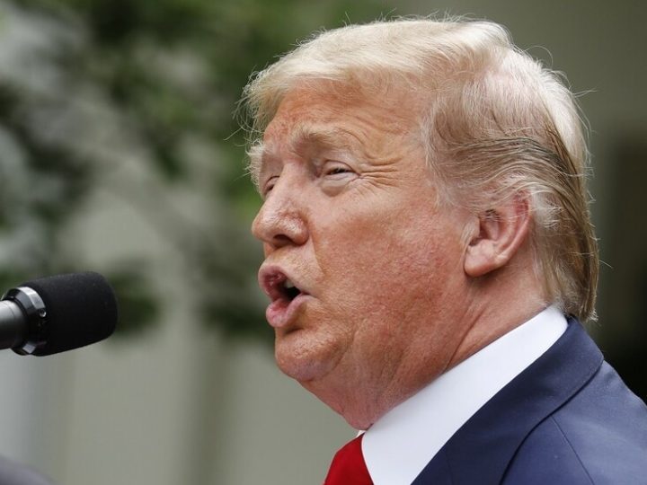 ترامب يصف قصف الإرهابيين في نيجيريا بأنه “هدية عيد الميلاد”