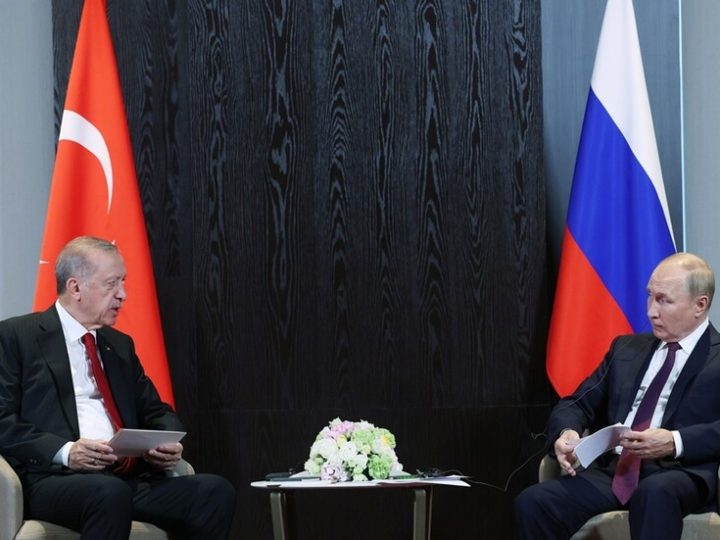 مصدر تركي: بوتين إلى أنقرة قريبا