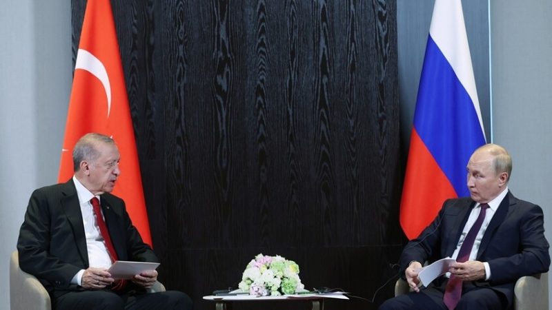 مصدر تركي: بوتين إلى أنقرة قريبا