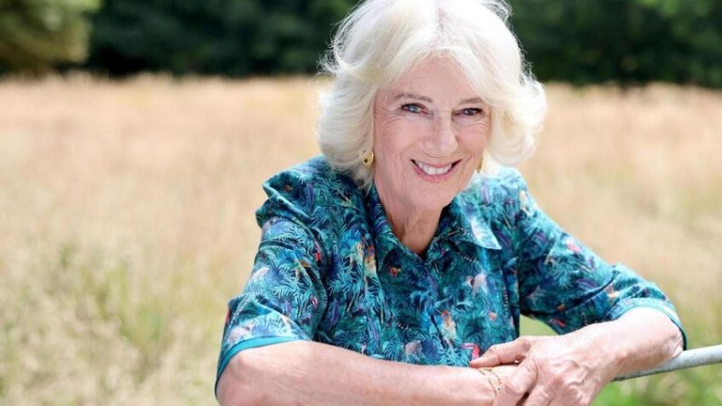 الملكة كاميلا تكشف تفاصيل صادمة عن تعرضها للاعتداء (فيديو)