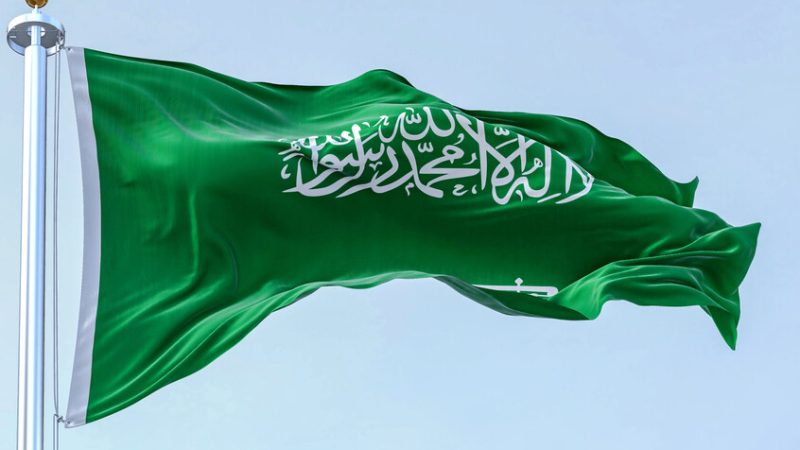 السعودية تستجيب لطلب العليمي عقد مؤتمر شامل في الرياض لبحث الحلول لقضية جنوب اليمن