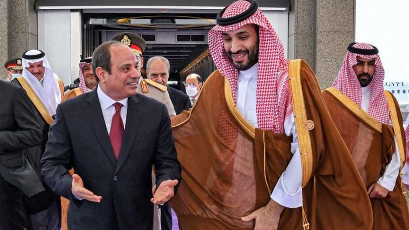 وزير الخارجية السعودي يبحث مع السيسي ملفات بينها الحرب على غزة