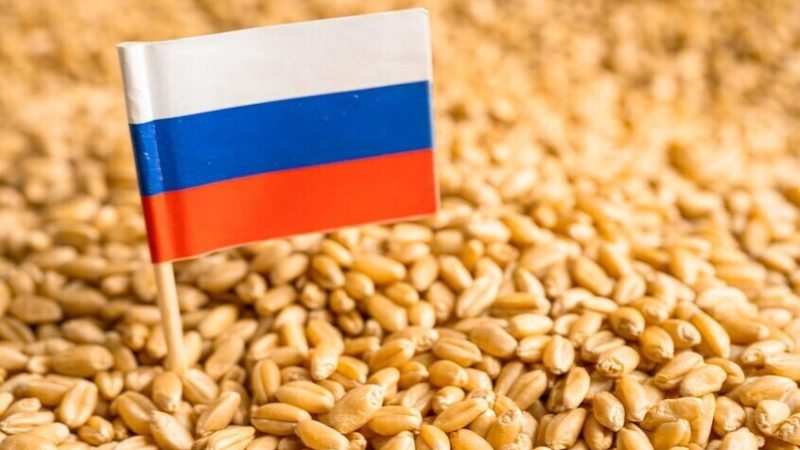 روسيا تحتفظ بموقعها الأول عالميا بين مصدري القمح