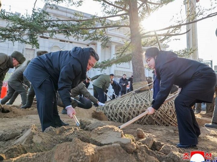 كيم يغرس شجرة في حديقة متحف جنود بلاده المشاركين في تحرير مقاطعة كورسك الروسية (صور)