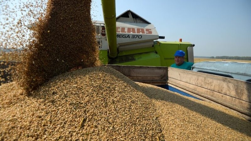 معطيات إحصائية: الولايات المتحدة اشترت كمية قياسية من الحبوب من الصين في أكتوبر