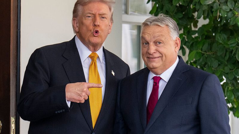 ترامب يرحب بدعوة أوربان لزيارة هنغاريا ويثني على قيادته قبل الانتخابات المقبلة