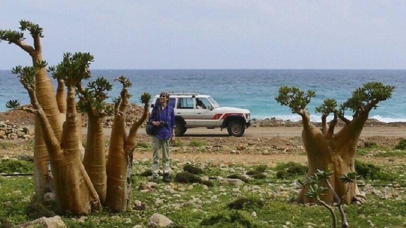 وزير يمني يؤكد إجلاء جميع العالقين الأجانب من سقطرى بتسهيلات سعودية