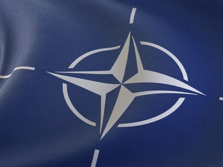 بلومبرغ: ألمانيا تعتزم اقتراح بعثة مشتركة لحلف الناتو في غرينلاند