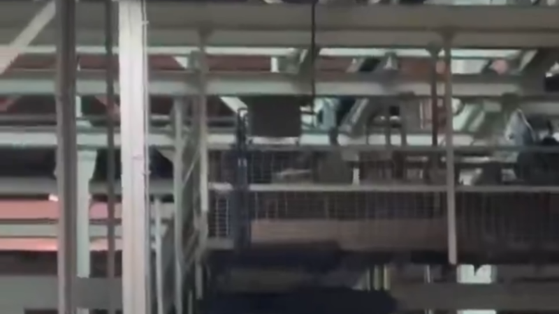 حركة لا أخلاقية وعبارة نابية من ترامب خلال زيارته مصنع “فورد” للسيارات بولاية ميشيغان (فيديو)