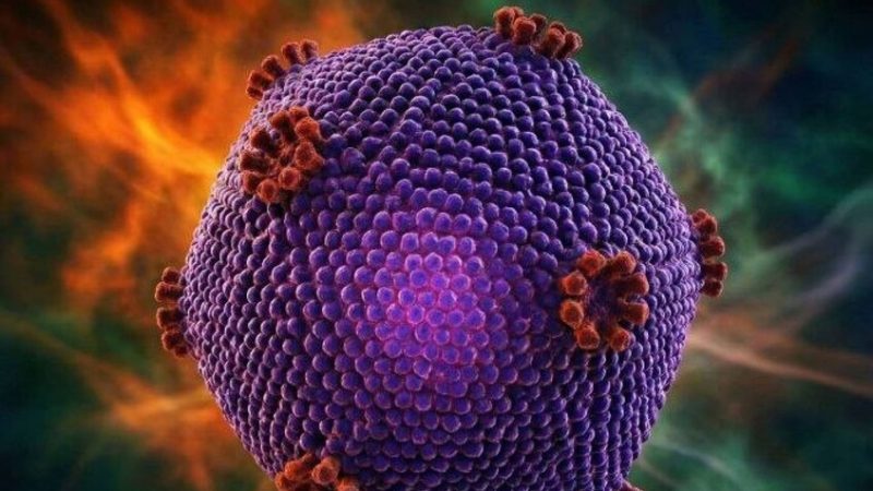 الصين.. إصابة أكثر من 100 تلميذ بفيروس خطير