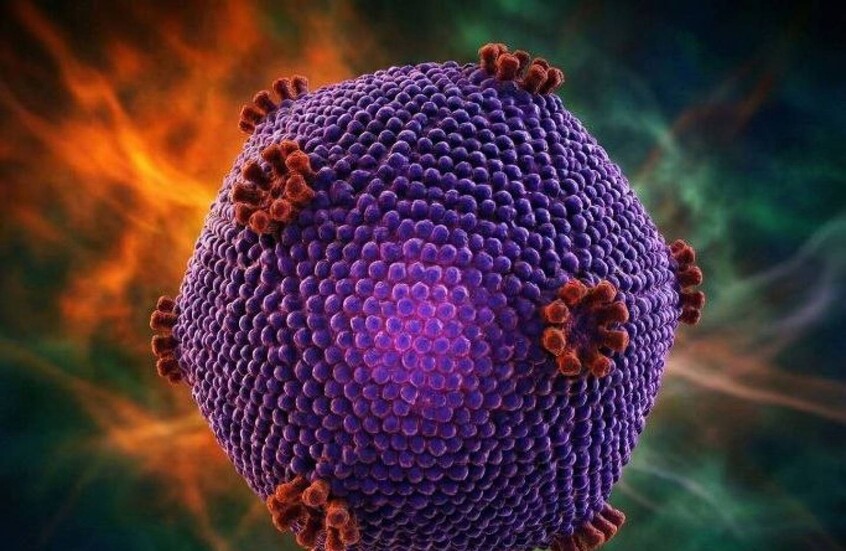 الصين.. إصابة أكثر من 100 تلميذ بفيروس خطير