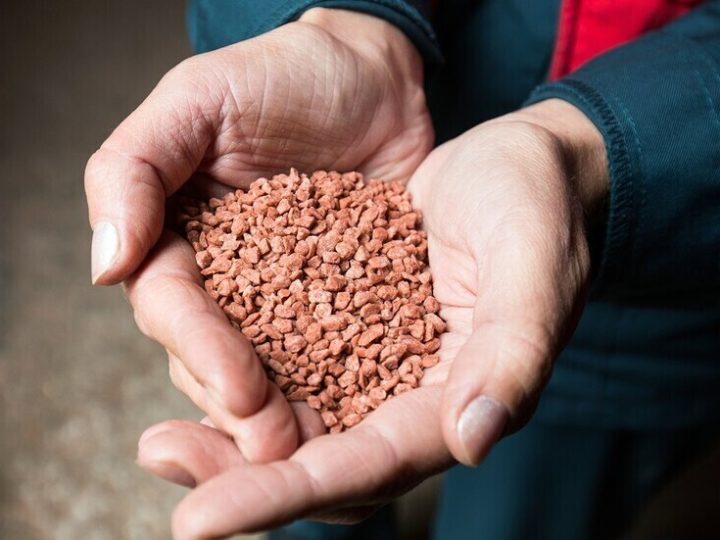 بولندا تضاعف مشترياتها من الأسمدة الروسية رغم العقوبات