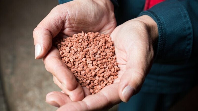 بولندا تضاعف مشترياتها من الأسمدة الروسية رغم العقوبات