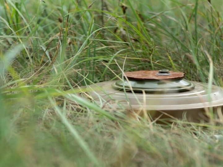 اليمن.. إتلاف 636 قطعة من الألغام والذخائر غير المنفجرة في المكلا