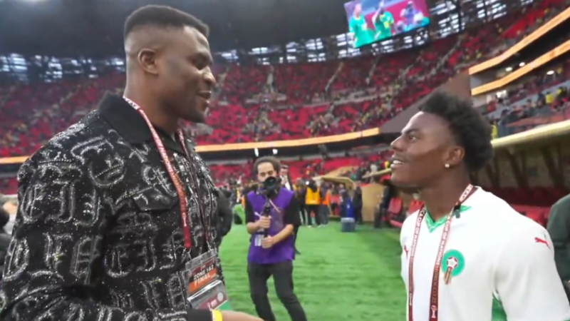 أسطورة “UFC” نغانو يطرح اليوتيوبر العالمي “سبيد” أرضا بضربة واحدة في نهائي كأس أمم أفريقيا (فيديو)