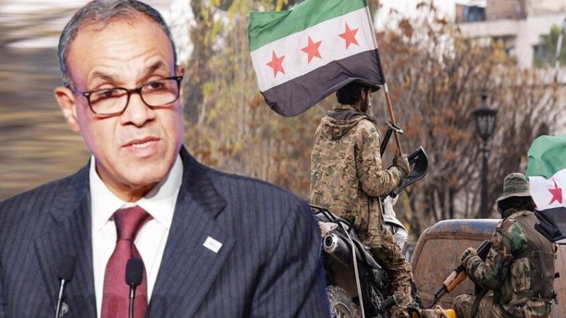 مصر تصدر بيانا حول سوريا