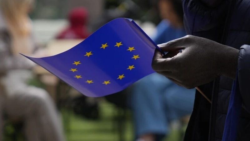 “نبتة في أصيص”.. أوروبا تدخل عصر الإذلال