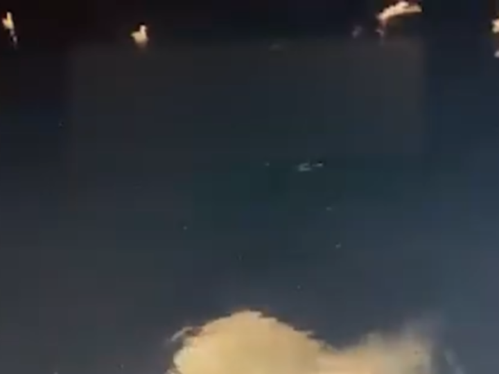 غضب واستياء ودعوات للمحاسبة.. اصطياد قرش حوتي مهدد بالانقراض بطريقة وحشية بالبحر الأحمر (فيديو)