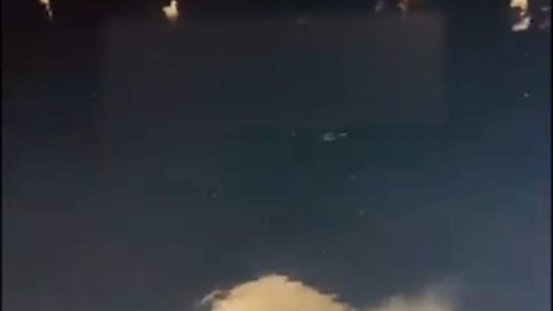 غضب واستياء ودعوات للمحاسبة.. اصطياد قرش حوتي مهدد بالانقراض بطريقة وحشية بالبحر الأحمر (فيديو)