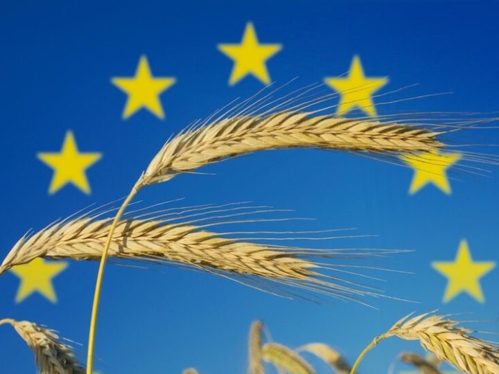 أوربان يدعو مزارعي الاتحاد الأوروبي للاحتجاج على استيراد الحبوب من أوكرانيا