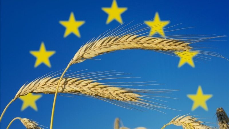 أوربان يدعو مزارعي الاتحاد الأوروبي للاحتجاج على استيراد الحبوب من أوكرانيا