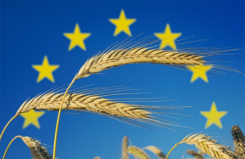 أوربان يدعو مزارعي الاتحاد الأوروبي للاحتجاج على استيراد الحبوب من أوكرانيا