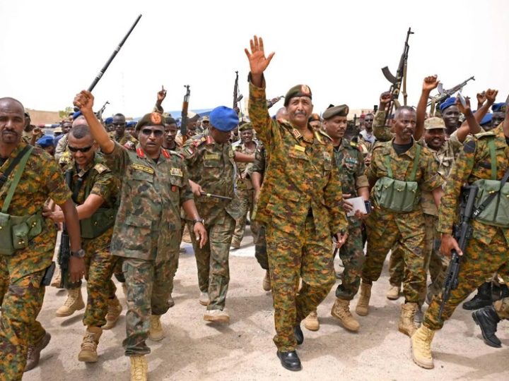 الجيش السوداني يعلن عن تقدم جديد في جنوب كردفان (فيديو)