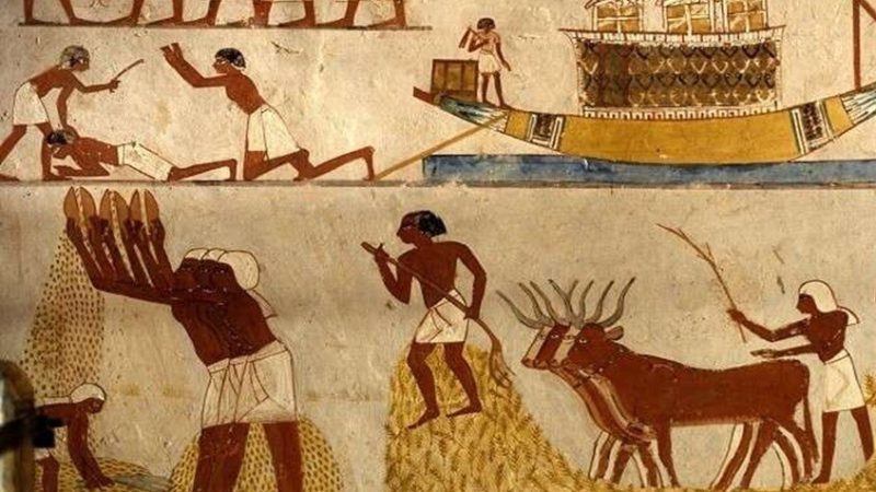 خبير أثري: المصريون القدماء أول من أسس جهاز المخابرات “المدجاي” لحماية العدالة المطلقة “ماعت” !