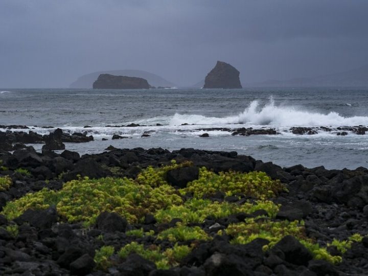 البرتغال تعلن الطوارئ في المناطق المتضررة جراء عاصفة “كريستينا” (فيديو)