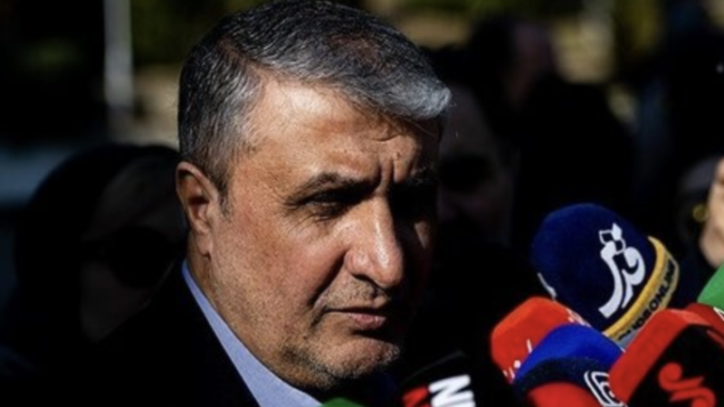 إسلامي: إيران لا تحتاج إلى سلاح نووي للردع وتمتلك قدرات كافية