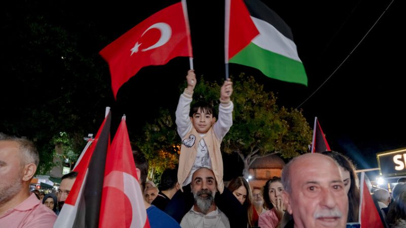 تركيا.. اعتقال إسرائيلية بتهمة إهانة فلسطين وأردوغان