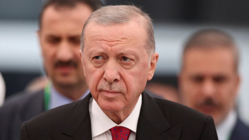 أردوغان يزور السعودية ومصر