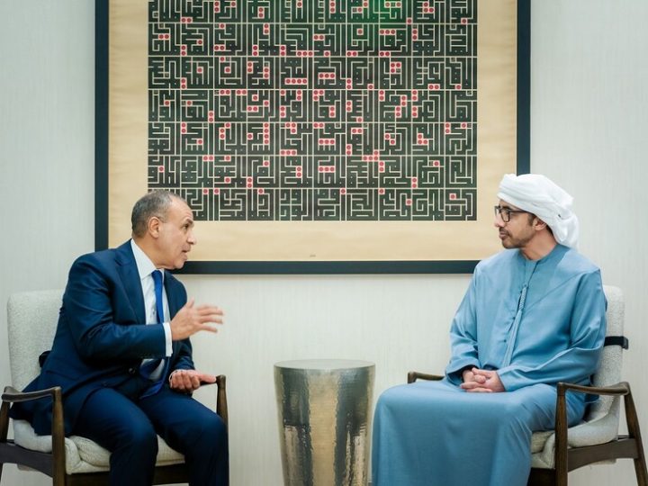 مباحثات مصرية إماراتية في أبوظبي