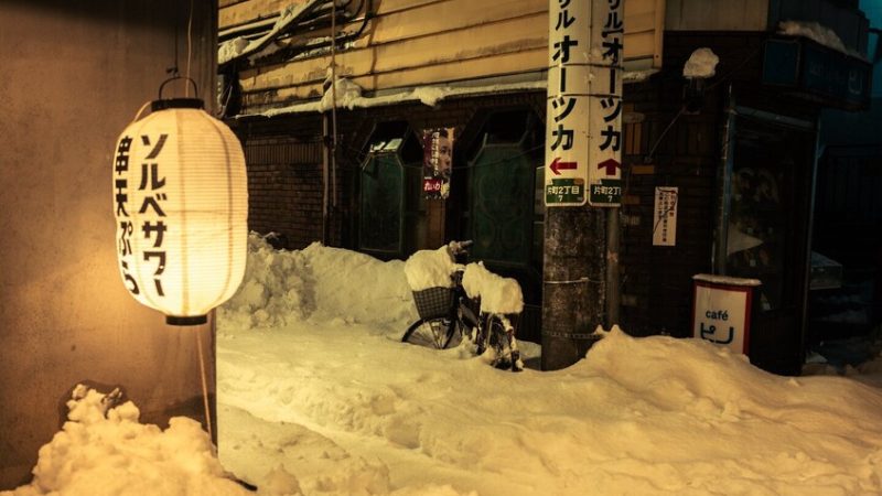 اليابان.. الثلوج تودي بحياة 30 شخصا على الأقل (فيديو+ صور)