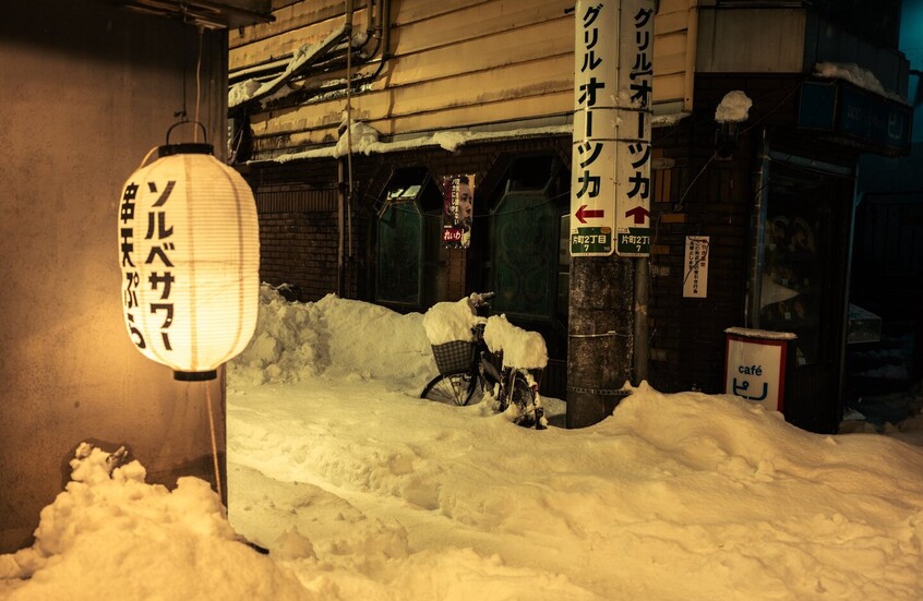 اليابان.. الثلوج تودي بحياة 30 شخصا على الأقل (فيديو+ صور)